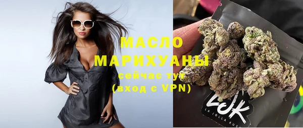 индика Володарск