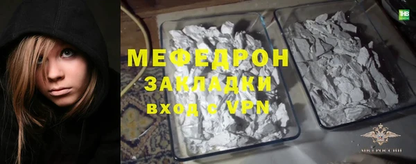 индика Володарск