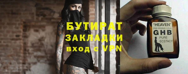 индика Володарск