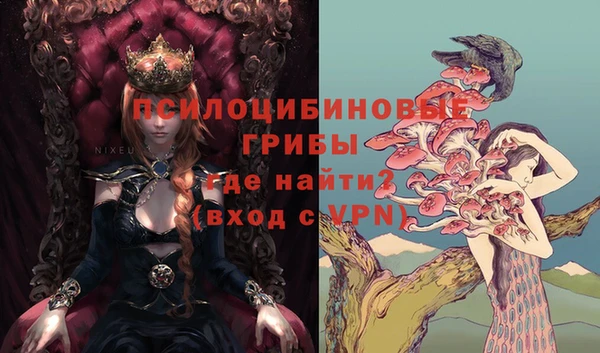 стаф Волоколамск