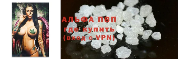индика Володарск