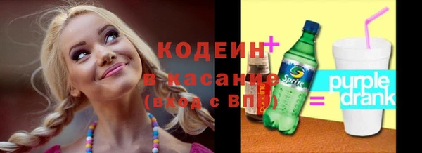 индика Володарск