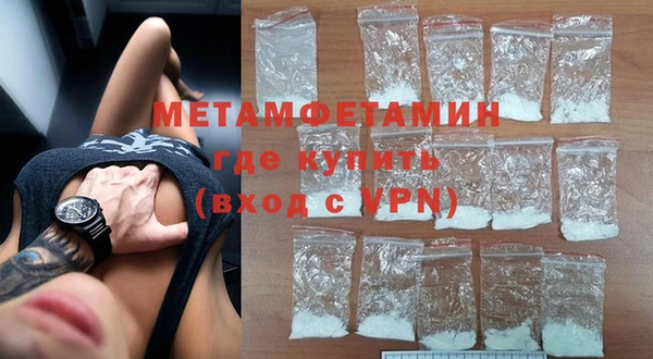 индика Володарск