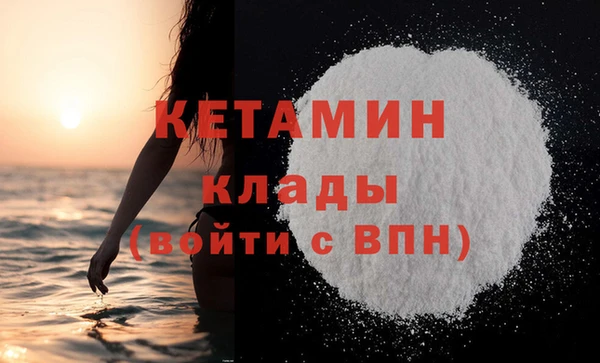 индика Володарск
