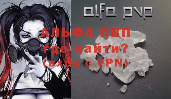 индика Володарск