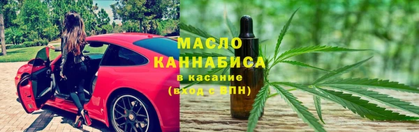индика Володарск