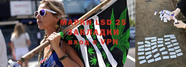 стаф Волоколамск