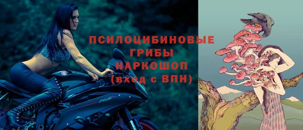 стаф Волоколамск