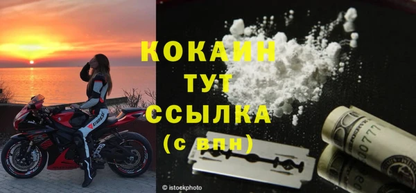 индика Володарск