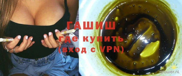 индика Володарск