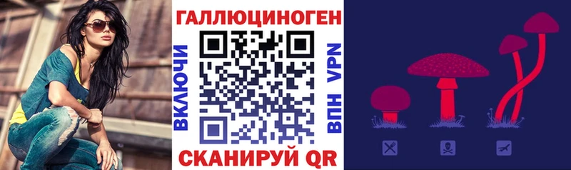 Галлюциногенные грибы Psilocybe Орехово-Зуево